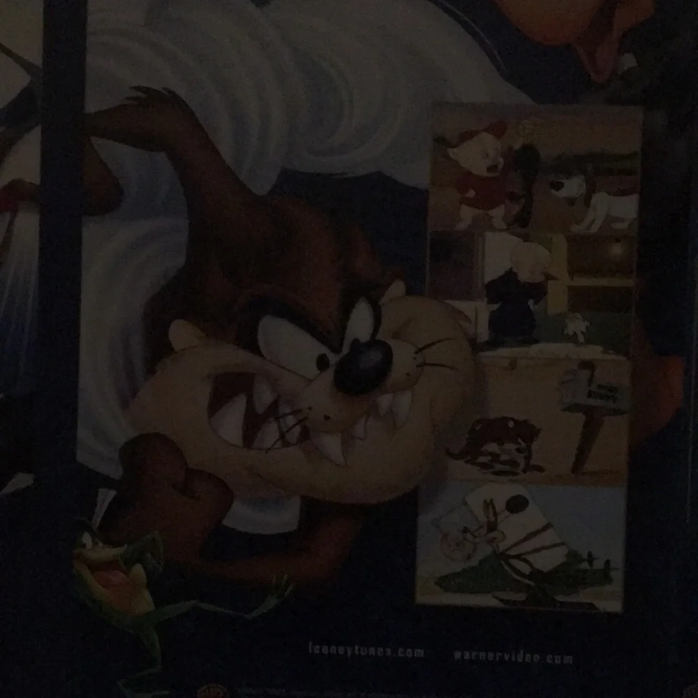 DVD OF LOONEY TUNES SIZES 2 ARE 3 INCH’S TALL